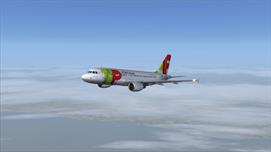 A319 TAP Portugal, after takeoff from LPPR A319 TAP Portugal, after takeoff from LPPR